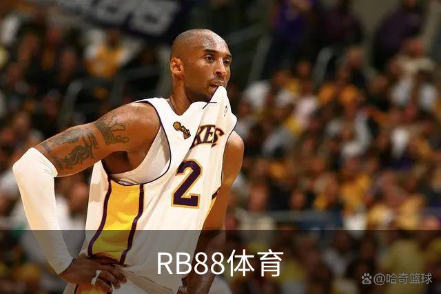 RB88体育平台介绍图片
